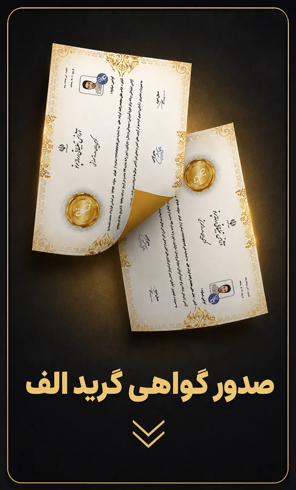 صدور گواهی گرید الف برای هنرمندان آژانس تبلیغاتی پرتو